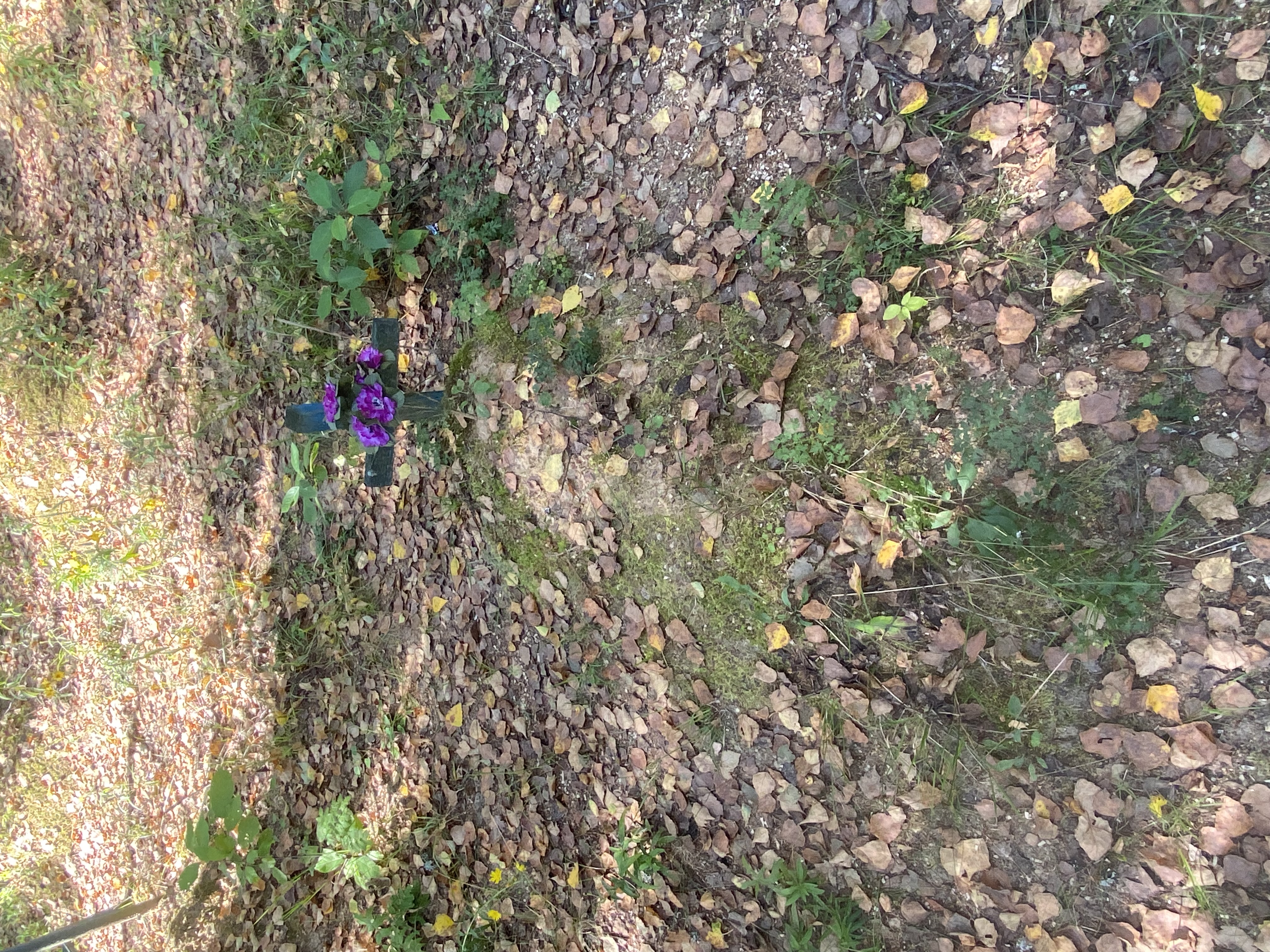 Фотография надгробия